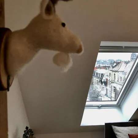 Raumausbeute Design Hoher Priester Apartment