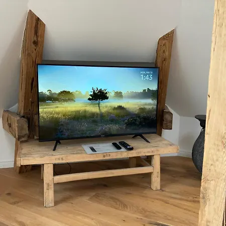 Raumausbeute Design Hoher Priester 데트몰트