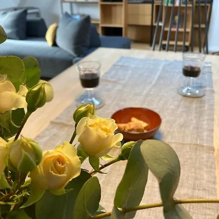 Daire Raumausbeute Design Hoher Priester Detmold