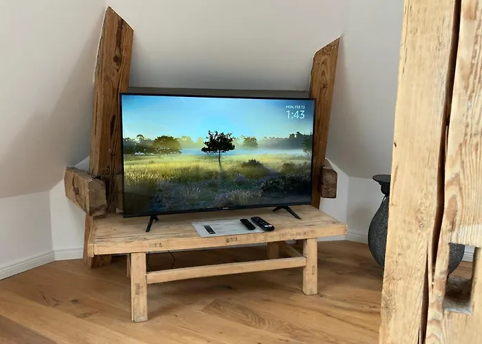 Raumausbeute Design Hoher Priester Detmold